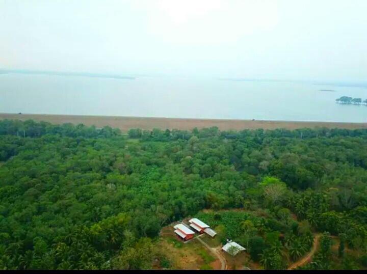 Nil Bawana Nature Resort Udawalawe Buitenkant foto