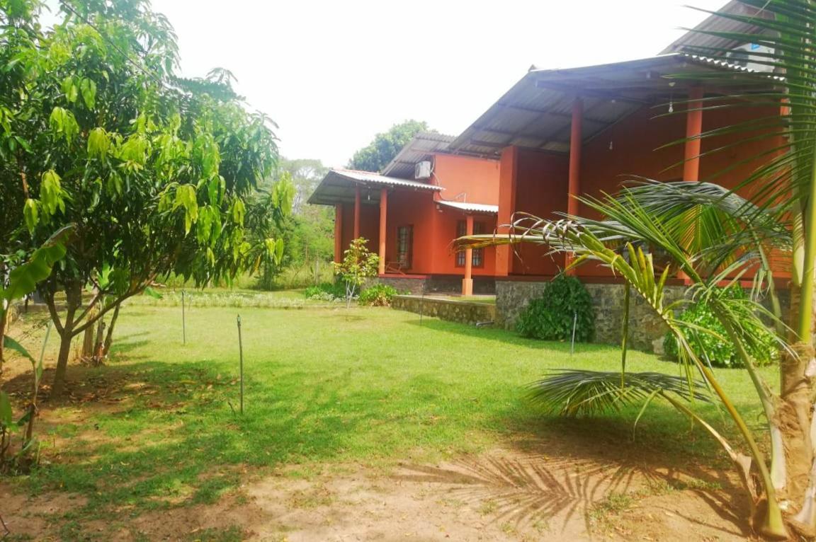 Nil Bawana Nature Resort Udawalawe Buitenkant foto