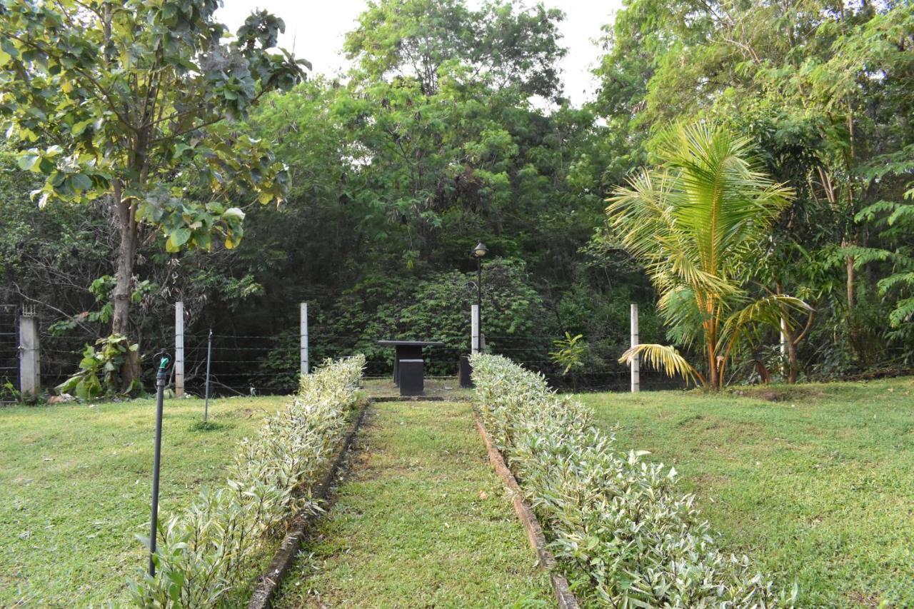Nil Bawana Nature Resort Udawalawe Buitenkant foto