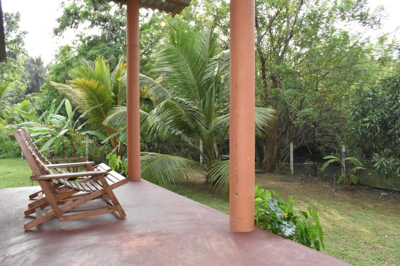 Nil Bawana Nature Resort Udawalawe Buitenkant foto