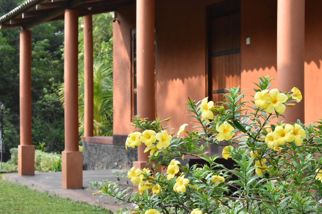 Nil Bawana Nature Resort Udawalawe Buitenkant foto