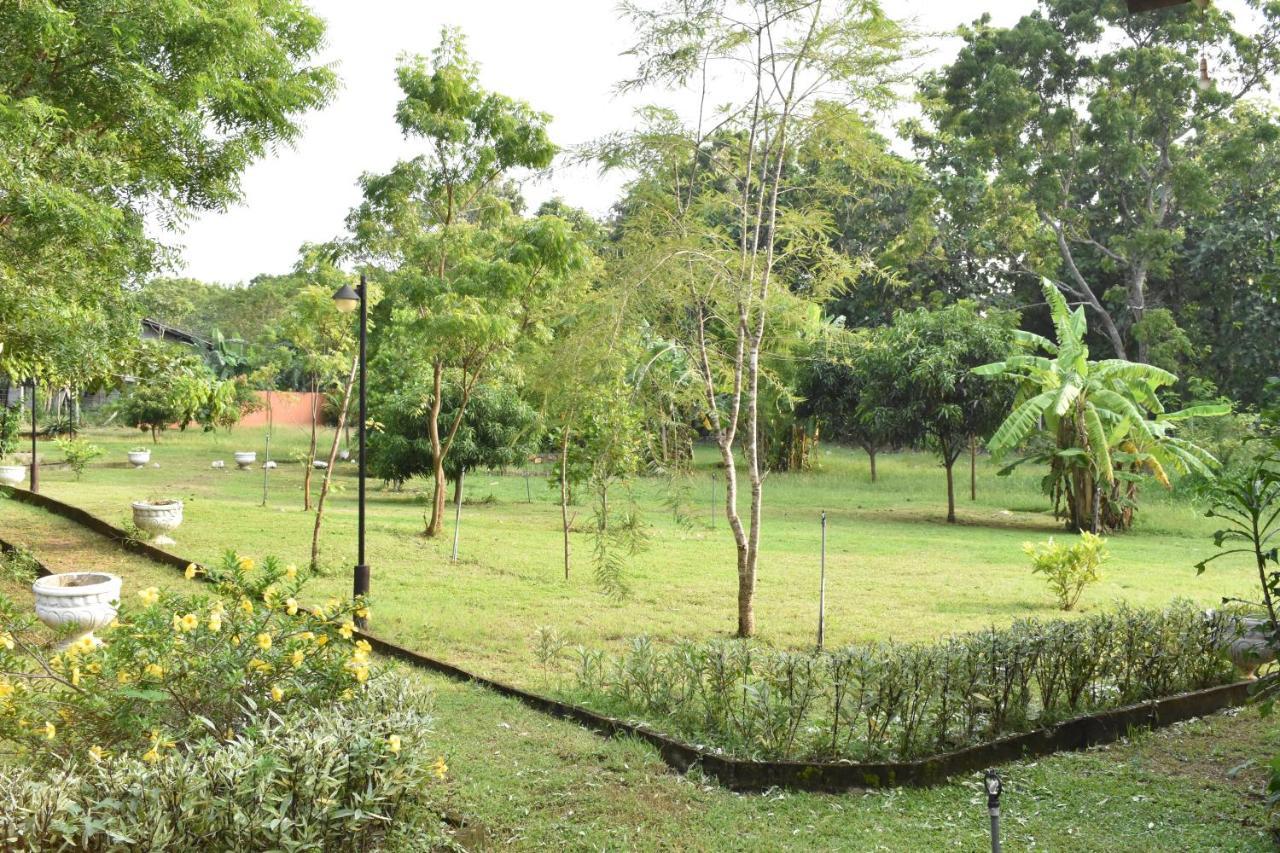 Nil Bawana Nature Resort Udawalawe Buitenkant foto