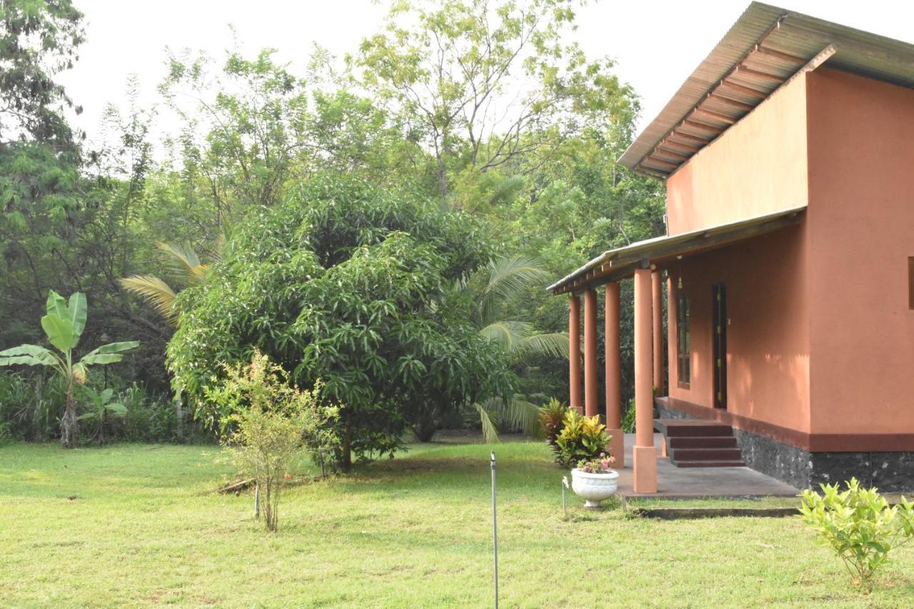 Nil Bawana Nature Resort Udawalawe Buitenkant foto