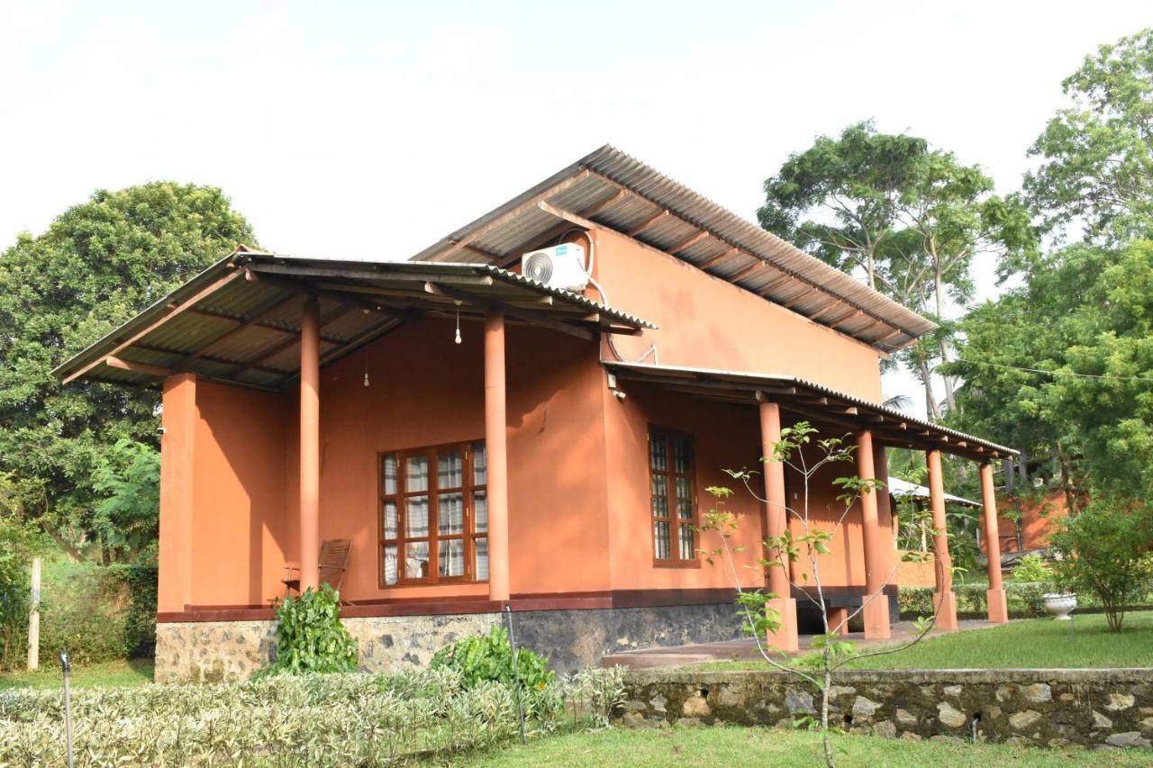 Nil Bawana Nature Resort Udawalawe Buitenkant foto